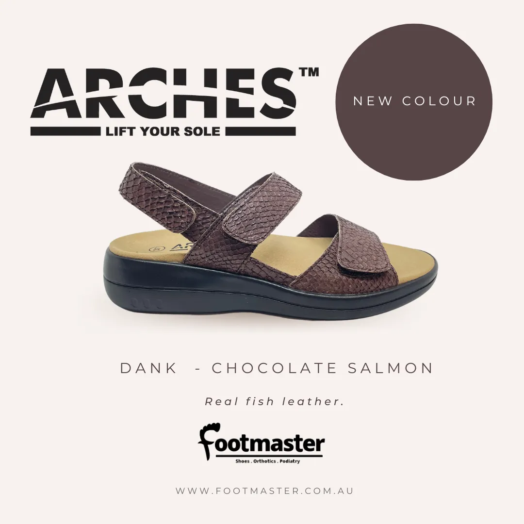 ARCHES DANK  - CHOCOLATE SALMON