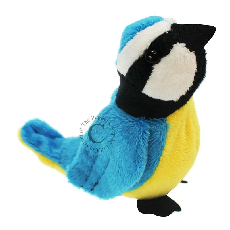 Bird Sounds Story Sack with Puppet Company Finger Puppets