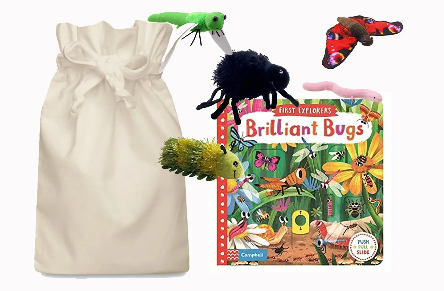 Brilliant Bugs Story Sack with Finger Puppets