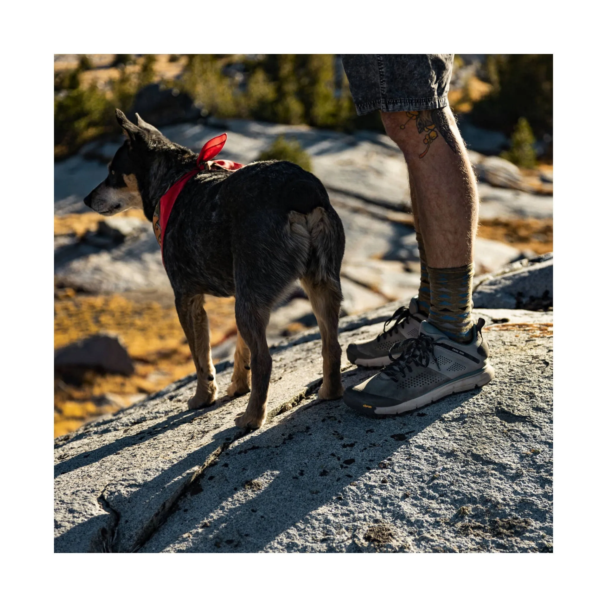 Danner Men's Trail 2650 Hike Shoes - Charcoal/Goblin Blue