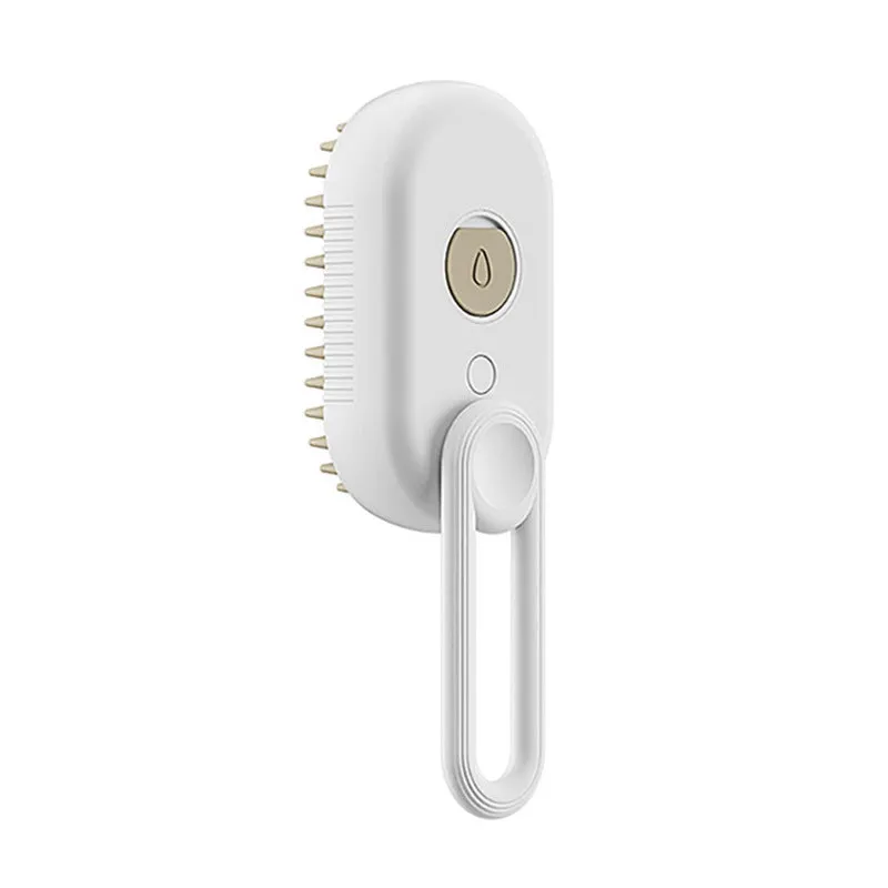 Steam Pet Brush Unique Spray, High-Quality, USB Rechargeable